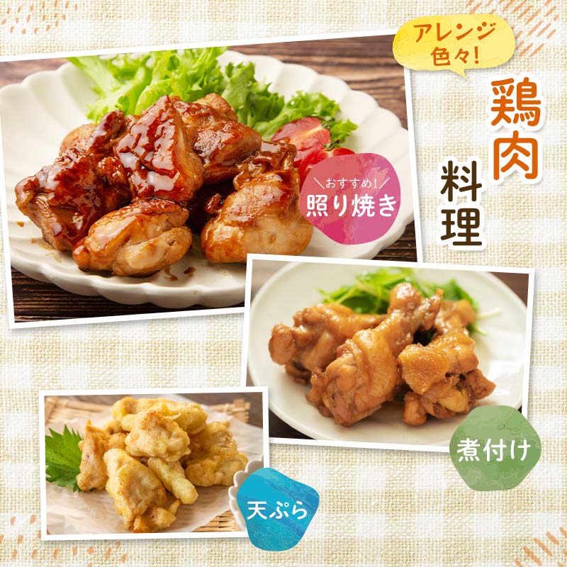 【定期便・6回】産地直送！恵那どり お試し4種8パックセット 小分け 真空パック 大容量 セット 鶏肉 F4N-2469