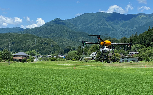 【5回定期便】岐阜県産 棚田米 1等米コシヒカリ はちたか米 精米10kg（5kg×2袋） F4N-2590