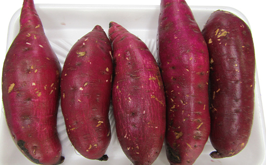 干し芋・生さつま芋セット F4N-2731