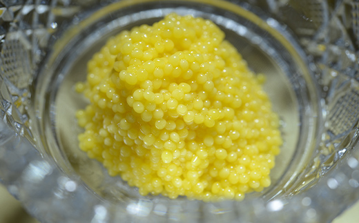 アルマスキャビアジパング F4N-2754