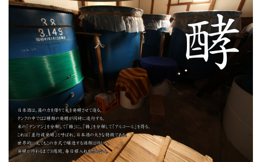 清酒 「鯨波」 純米吟醸・純米セット F4N-2652