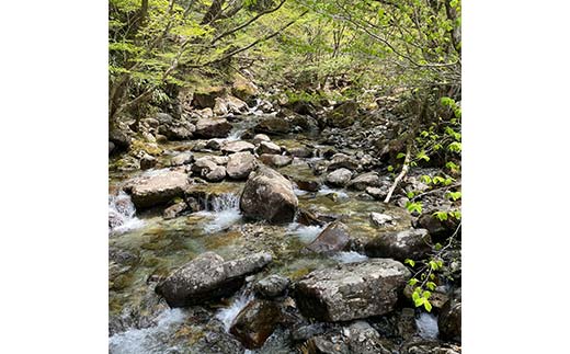 加子母産コシヒカリ「かしもの恵み」1kg×2 あなたが選ぶ日本一おいしい米コンテスト受賞米 米 精米 コシヒカリ F4N-1798