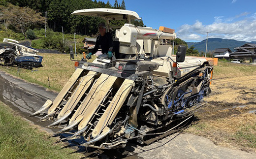 岐阜県産 棚田米 1等米コシヒカリ はちたか米 玄米20kg（10kg×2袋） F4N-2640