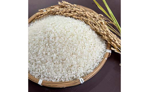 加子母産「いのちの壱」2kg F4N-2717