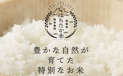 【3回定期便】令和7年産 岐阜県産 棚田米 1等米コシヒカリ はちたか米 精米2kg F4N-2740