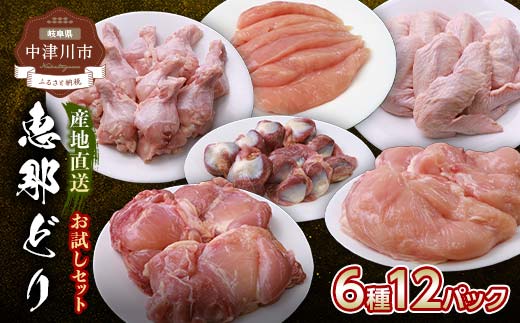 産地直送！恵那どり お試し6種 12パックセット 冷凍 F4N-2403
