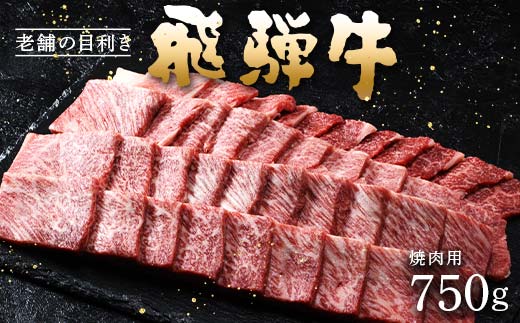 牛肉 飛騨牛 ロース肉 焼肉用 750g 牛 肉 ロース 焼き肉 赤身 飛騨 F4N-1744