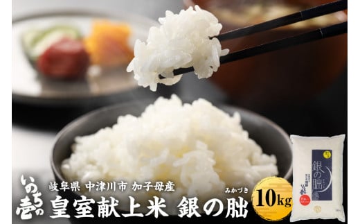 ＜テレビで紹介されました！＞令和7年度 皇室献上米『銀の朏』10kg 中津川市加子母産 栽培期間中化学肥料不使用 米 お米 コメ ごはん ご飯 食品 F4N-1865