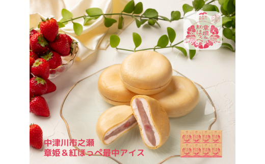 中津川市之瀬 「章姫＆紅ほっぺ最中アイス」 8個入 F4N-1836