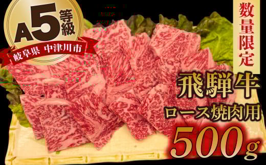 【数量限定！チルド（冷蔵）発送！】「飛騨牛」A5等級 ロース 500g 鉄板焼き 網焼き 焼肉 バーベキュー BBQ F4N-1243