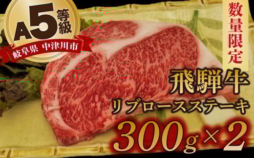【数量限定！チルド（冷蔵）発送！】「飛騨牛」A5等級リブロース 300g×2枚 ステーキ 鉄板焼き 網焼き 焼肉 バーベキュー BBQ F4N-1244