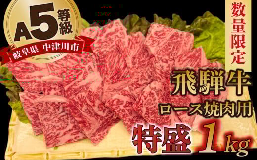 【数量限定！チルド（冷蔵）発送！】「飛騨牛」A5等級 ロース 1kg 鉄板焼き 網焼き 焼肉 バーベキュー BBQ F4N-1260