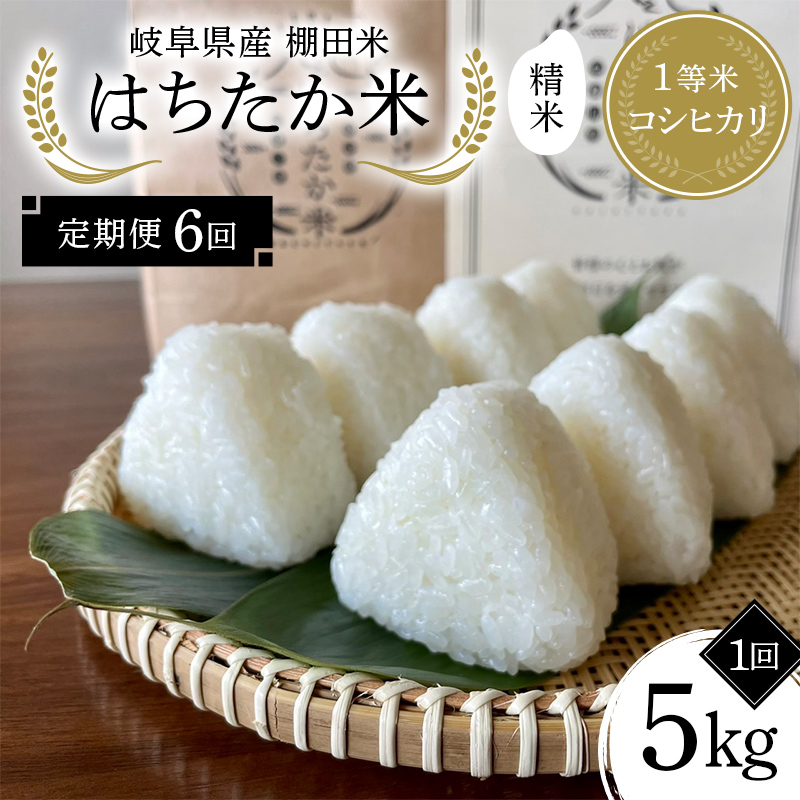 【6回定期便】岐阜県産 棚田米 1等米コシヒカリ はちたか米 精米5kg F4N-2580