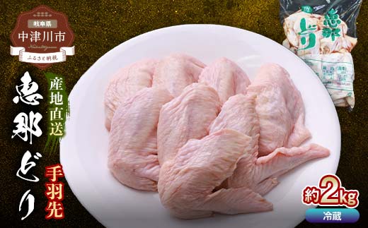 恵那とり手羽先 計2kg おつまみ とり肉 鶏 手羽 鶏肉 チキン 肉 食品 F4N-2406