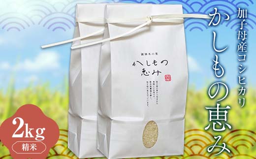 加子母産コシヒカリ「かしもの恵み」1kg×2 あなたが選ぶ日本一おいしい米コンテスト受賞米 米 精米 コシヒカリ F4N-1798