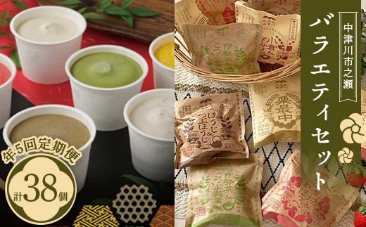 バラエティセット【年5回定期便】 定期便 アイス アイスクリーム ジェラート 最中 最中アイス 贈答 家族パック バラエティパック バラエティセット 乳製品 お菓子 箱詰め セット商品 詰め合わせ デザート お試しセット F4N-1829