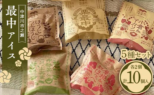 中津川市之瀬最中アイス 5種セット 各2個 計10個入り 定期便 アイス アイスクリーム ジェラート 最中 最中アイス 贈答 家族パック バラエティパック バラエティセット 乳製品 お菓子 箱詰め セット商品 詰め合わせ デザート お試しセット F4N-1841