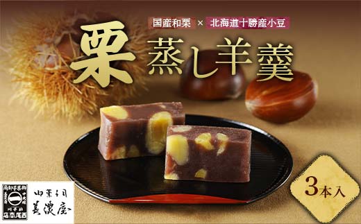 【中津川銘菓】【栗の銘菓】御菓子司美濃屋 栗蒸し羊羹 3本入り 国内特選栗使用 中津川銘菓 中津川 岐阜 和菓子 お茶菓子 お茶請け 羊羹 菓子 食品 F4N-1842