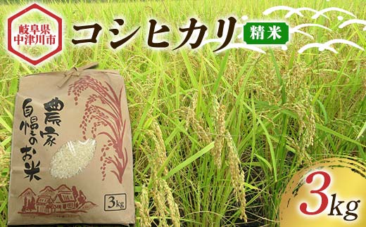 〈農事組合法人 阿木特産営農〉お米（コシヒカリ） 3kg 数量限定 こしひかり 中津川産 岐阜 こめ コメ 白米 精米 F4N-2498
