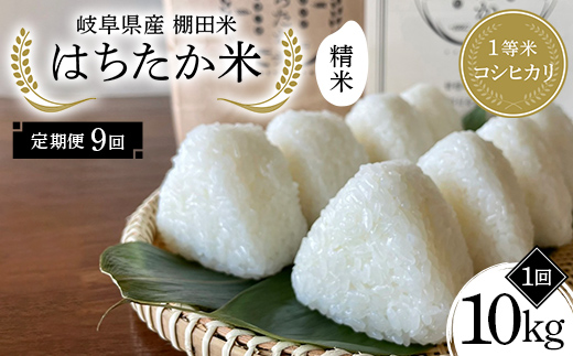 【9回定期便】岐阜県産 棚田米 1等米コシヒカリ はちたか米 精米10kg（5kg×2袋） F4N-2594