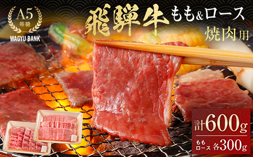 飛騨牛 もも300g・ロース300g 焼肉用 計600g 飛騨牛 A5等級 和牛 黒毛和牛 F4N-2669