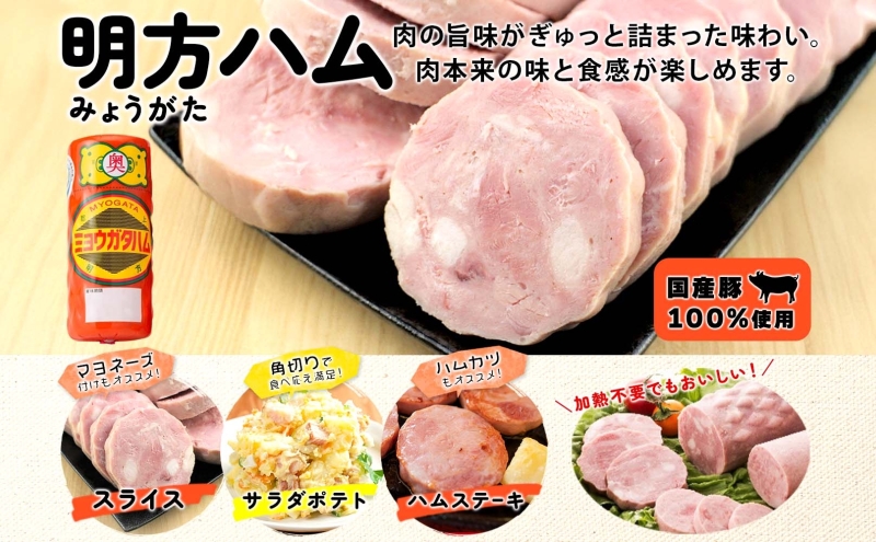 明方 ハム Aセット ボロニア ソーセージ フランクフルト JA ブランド 豚肉 お肉 国産 熟成 塩分 控えめ 豚腸 バーベキュー BBQ 加工品 お取り寄せ 贈答 ギフト 送料無料 めぐみの農業協同組合 岐阜県 美濃市