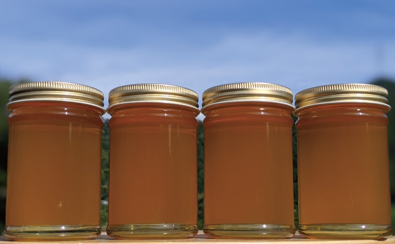 合計920g 天然蜂蜜 国産蜂蜜 非加熱 生はちみつ 岐阜県 美濃市産 春 (蜂蜜230g入りガラス瓶4本)A4 深田養蜂のハチミツ