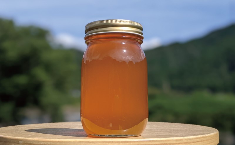 合計600g 天然蜂蜜 国産蜂蜜 非加熱 生はちみつ 岐阜県 美濃市産 春 (蜂蜜600g入りガラス瓶1本)A5 深田養蜂のハチミツ