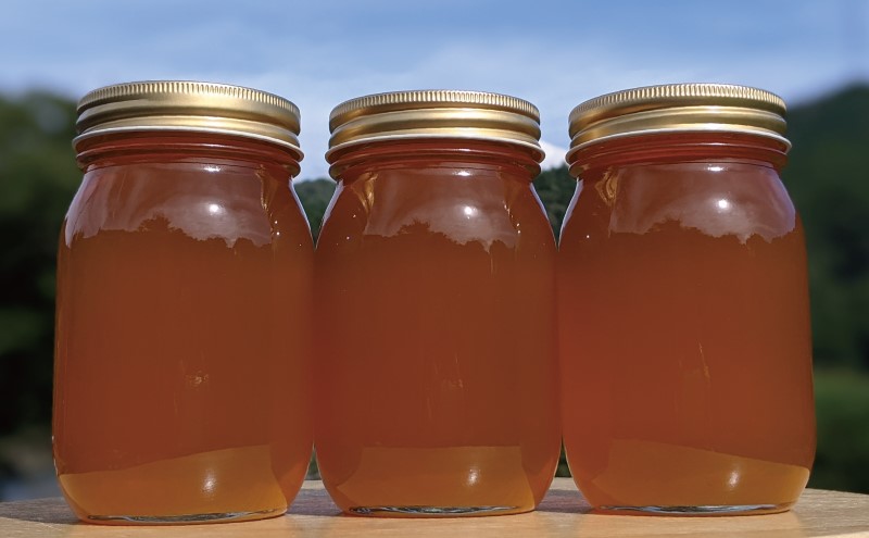 合計1800g 天然蜂蜜 国産蜂蜜 非加熱 生はちみつ 岐阜県 美濃市産 春 (蜂蜜600g入りガラス瓶3本セット)A7 深田養蜂のハチミツ