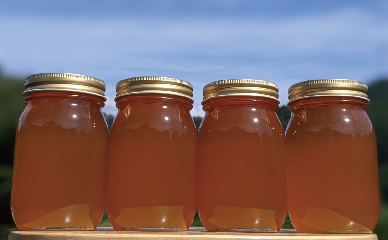 合計2400g 天然蜂蜜 国産蜂蜜 非加熱 生はちみつ 岐阜県 美濃市産 春 (蜂蜜600g入りガラス瓶4本)A8 深田養蜂のハチミツ