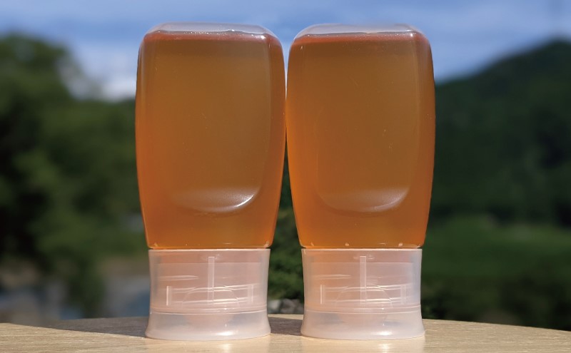 合計600g 天然蜂蜜 国産蜂蜜 非加熱 生はちみつ 岐阜県 美濃市産 春 (蜂蜜300g入りピタッとボトル2本セット)A10 深田養蜂のハチミツ