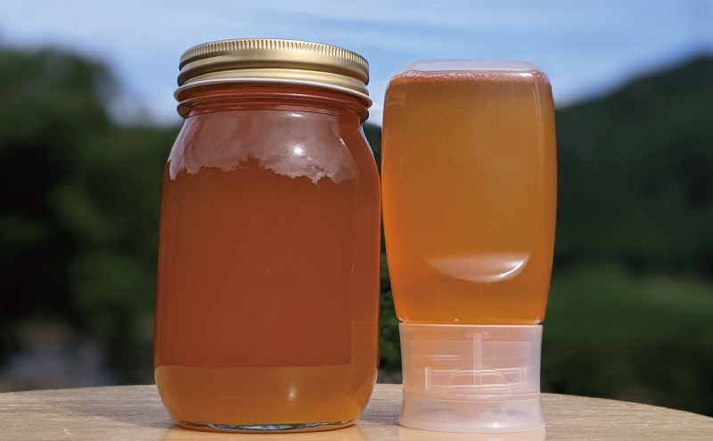 合計900g 天然蜂蜜 国産蜂蜜 非加熱 生はちみつ 岐阜県 美濃市産 春 (蜂蜜600g入りガラス瓶1本,蜂蜜300g入りピタッとボトル1本のセット)A15 深田養蜂のハチミツ