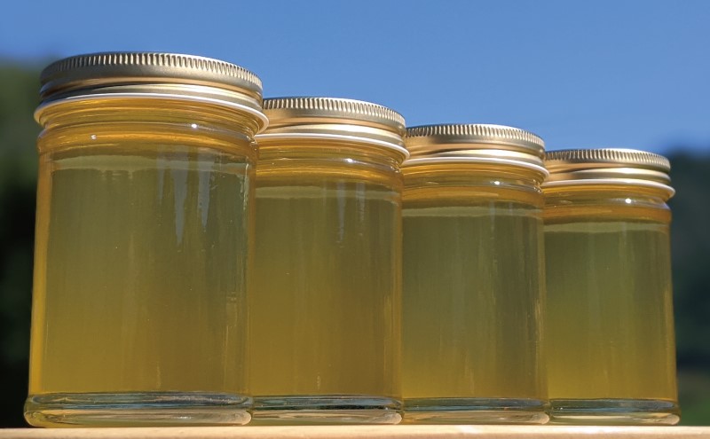 合計920g 天然蜂蜜 国産蜂蜜 非加熱 生はちみつ 岐阜県 美濃市産 初夏 (蜂蜜230g入りガラス瓶4本)B4 深田養蜂のハチミツ