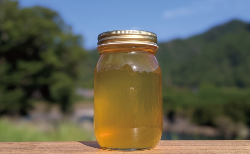 合計600g 天然蜂蜜 国産蜂蜜 非加熱 生はちみつ 岐阜県 美濃市産 初夏 (蜂蜜600g入りガラス瓶1本)B5 深田養蜂のハチミツ
