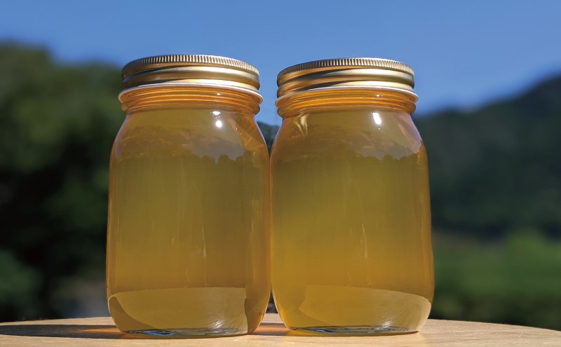 合計1200g 天然蜂蜜 国産蜂蜜 非加熱 生はちみつ 岐阜県 美濃市産 初夏 (蜂蜜600g入りガラス瓶2本セット)B6 深田養蜂のハチミツ
