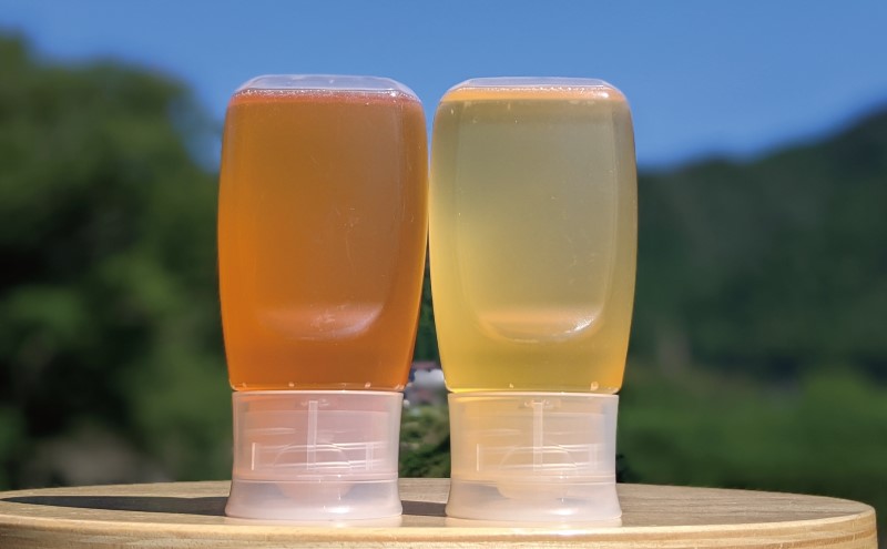 合計600g 天然蜂蜜 国産蜂蜜 非加熱 生はちみつ 岐阜県 美濃市産 味比べ 蜂蜜300g入りピタッとボトル2本セットC5 深田養蜂のハチミツ