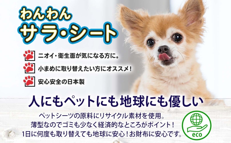 わんわんサラ・シートレギュラー 100枚×8個 ペットシーツ ペットシート リサイクル エコ 経済的 サラサラ トイレシート トイレシーツ ペット イヌ いぬ 犬 ワンちゃん わんちゃん 室内犬 多頭飼 シート シーツ 送料無料 お取り寄せ 岐阜県 美濃市