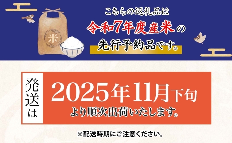 令和7年産 はつしも 精米 20kg×1袋 低農薬 新米 お米 白米 米 ごはん 米 ご飯 ハツシモ R7年産 あっさり ブランド米 お取り寄せ 産地直送 送料無料 美濃グリーン 岐阜県 美濃市