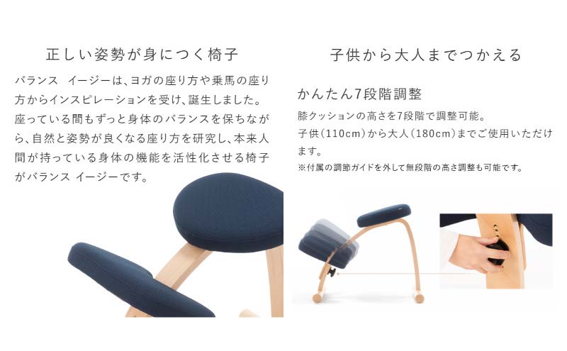 バランスイージーカバー付きとイージーライティングボードLのセット　通常ブラック+カバーブラック