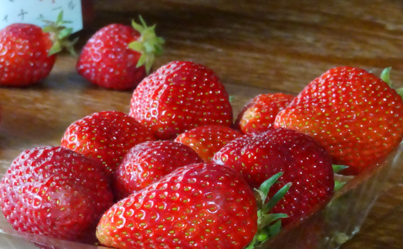 90歳のおばあちゃんが「一番うまい」と唸った。岐阜・山間部でできた【寒〆イチゴ】