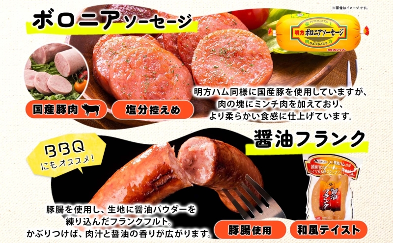 明方 ハム Aセット ボロニア ソーセージ フランクフルト JA ブランド 豚肉 お肉 国産 熟成 塩分 控えめ 豚腸 バーベキュー BBQ 加工品 お取り寄せ 贈答 ギフト 送料無料 めぐみの農業協同組合 岐阜県 美濃市