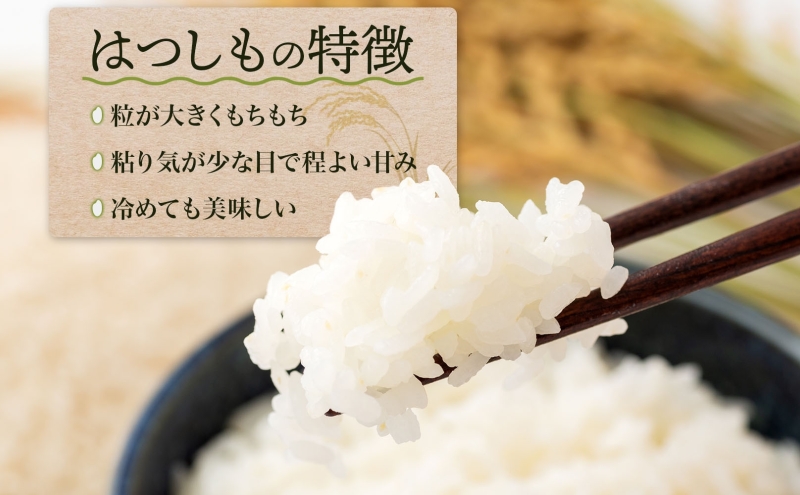令和7年産 はつしも 精米 20kg×1袋 低農薬 新米 お米 白米 米 ごはん 米 ご飯 ハツシモ R7年産 あっさり ブランド米 お取り寄せ 産地直送 送料無料 美濃グリーン 岐阜県 美濃市