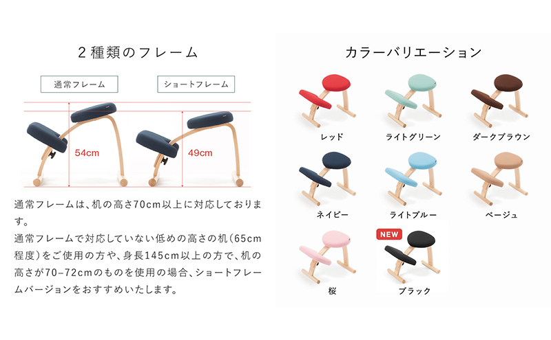 バランスイージーカバー付きとイージーライティングボードLのセット　通常ブラウン+カバーダークブラウン