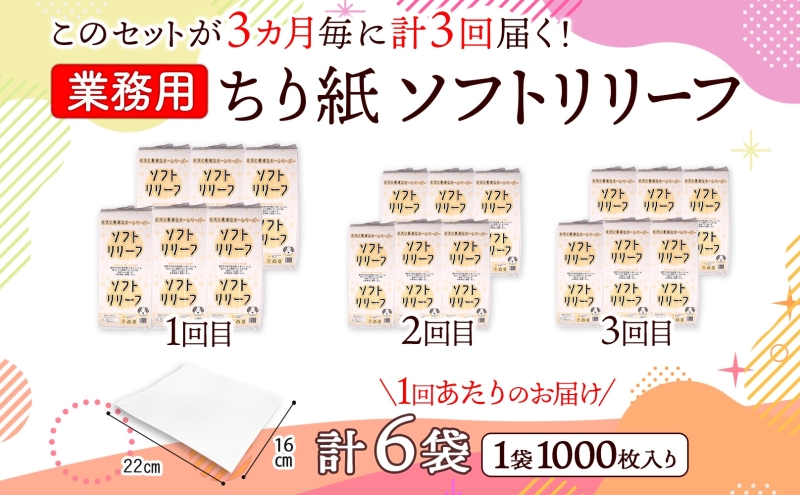 定期便 3ヶ月毎3回お届け ちり紙 リリーフ 1000枚×6袋 紙 無香料 ティッシュペーパー 落とし紙 ペーパー 紙 紙製品 日用品 消耗品 紙製品 ストック 備蓄 生活必需品 エコ まとめ買い トイレに流せる 介護 川一製紙 送料無料 岐阜県 美濃市