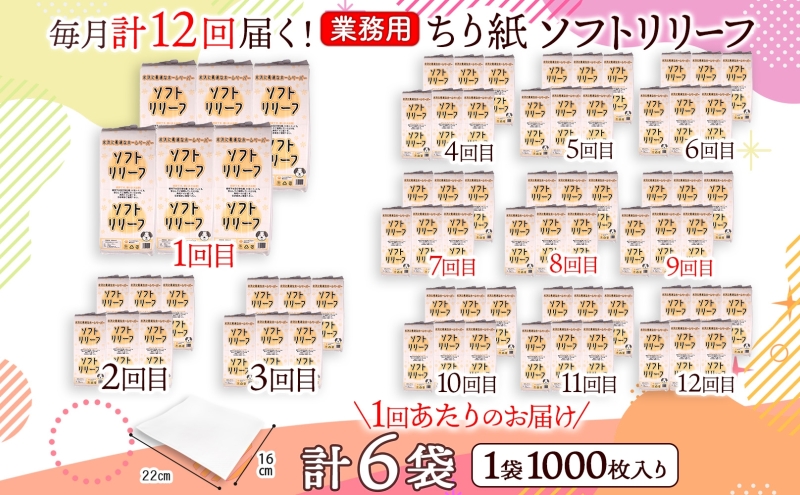 定期便 12ヵ月連続お届け ちり紙 リリーフ 1000枚×6袋 紙 無香料 ティッシュペーパー 落とし紙 ペーパー 紙 紙製品 日用品 消耗品 紙製品 ストック 備蓄 生活必需品 エコ まとめ買い トイレに流せる 介護 川一製紙 送料無料 岐阜県 美濃市
