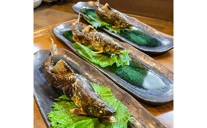 長良川天然鮎 甘露煮 5尾 世界農業遺産