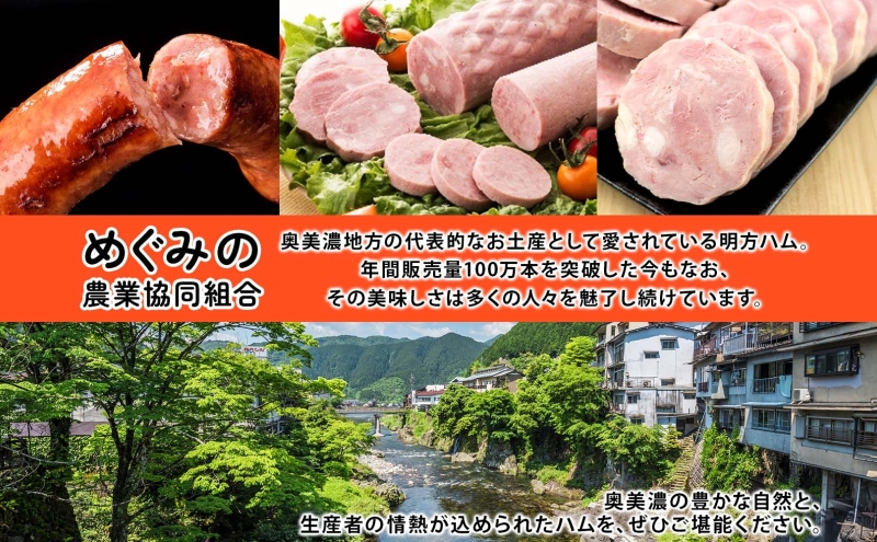 明方 ハム Bセット ボロニア ソーセージ フランクフルト JA ブランド 豚肉 お肉 国産 熟成 塩分 控えめ 豚腸 バーベキュー BBQ 加工品 お取り寄せ 贈答 ギフト 送料無料 めぐみの農業協同組合 岐阜県 美濃市