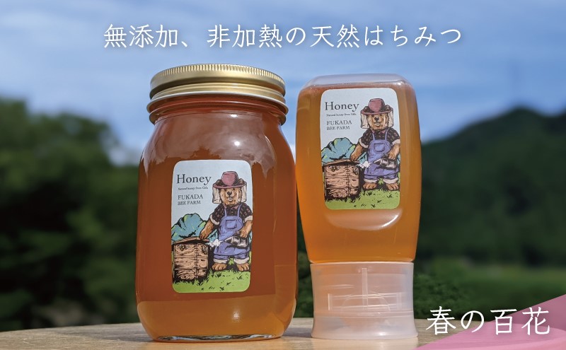 合計900g 天然蜂蜜 国産蜂蜜 非加熱 生はちみつ 岐阜県 美濃市産 春 (蜂蜜600g入りガラス瓶1本,蜂蜜300g入りピタッとボトル1本のセット)A15 深田養蜂のハチミツ