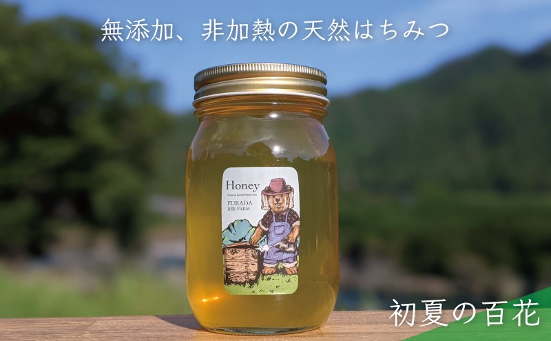 合計600g 天然蜂蜜 国産蜂蜜 非加熱 生はちみつ 岐阜県 美濃市産 初夏 (蜂蜜600g入りガラス瓶1本)B5 深田養蜂のハチミツ