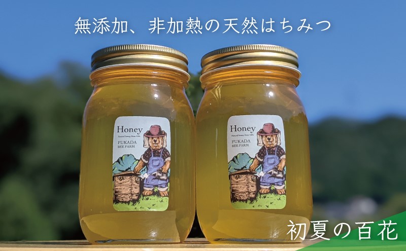 合計1200g 天然蜂蜜 国産蜂蜜 非加熱 生はちみつ 岐阜県 美濃市産 初夏 (蜂蜜600g入りガラス瓶2本セット)B6 深田養蜂のハチミツ